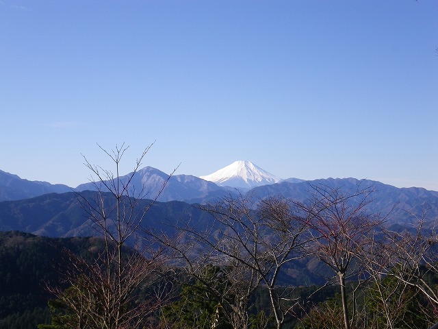 高尾山山頂から見える富士山