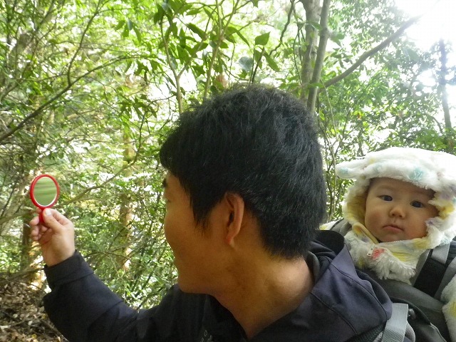 ８ヶ月の赤ちゃんを背負って筑波山登山