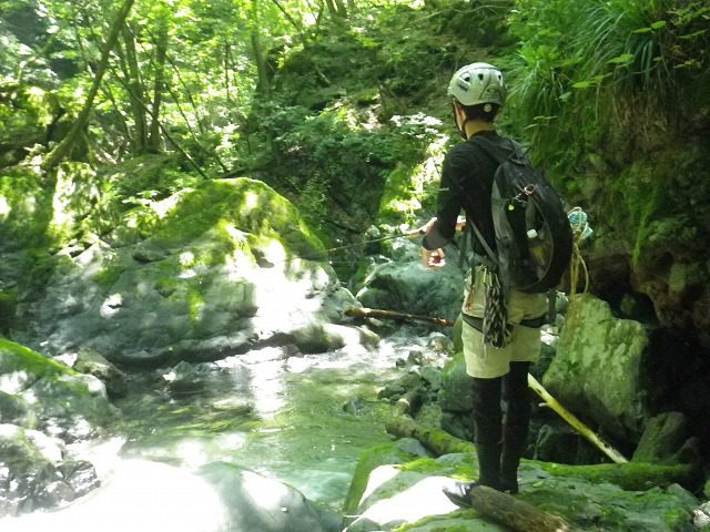 奥多摩 倉沢谷で沢登り 山の生吹